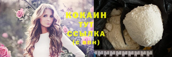 трава Инта