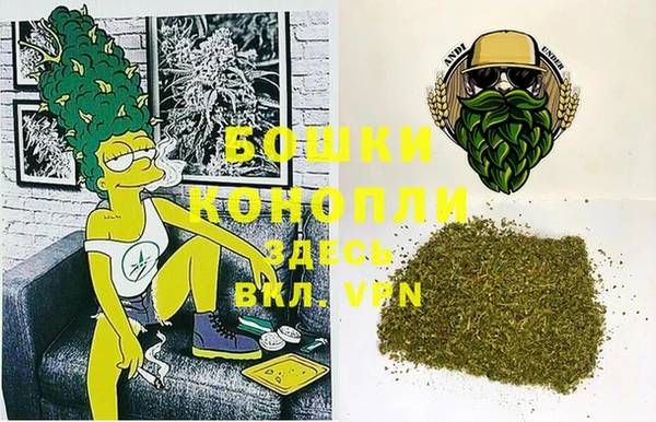 трава Инта