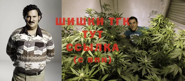 таблы Инсар
