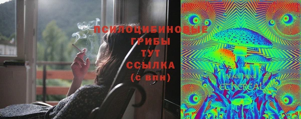таблы Инсар