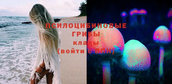 трава Инта