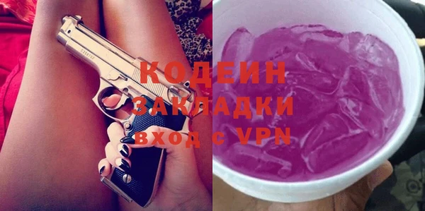 трава Инта