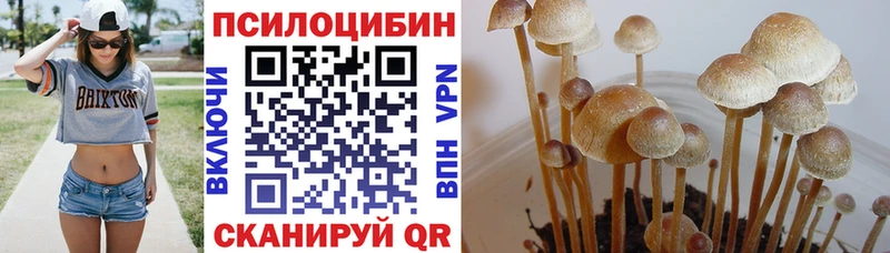Галлюциногенные грибы ЛСД  магазин продажи наркотиков  Долгопрудный 